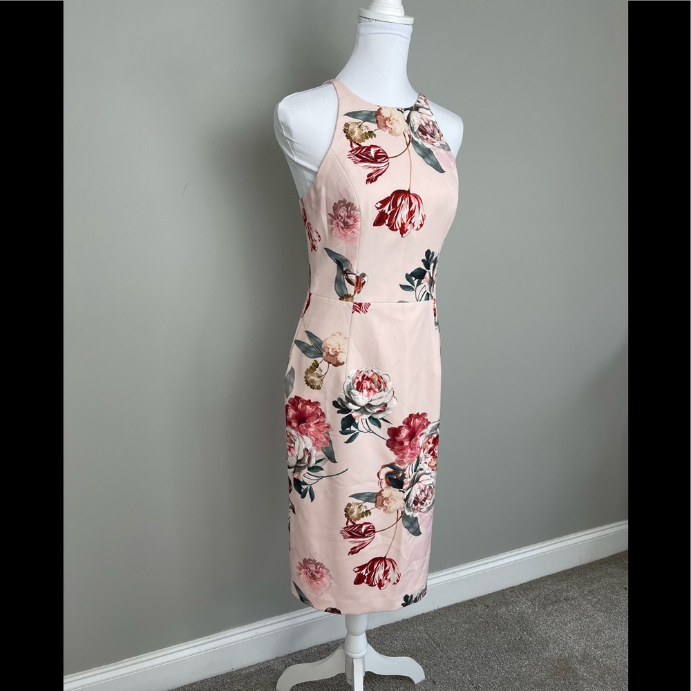 0231 Black Halo pink floral dress